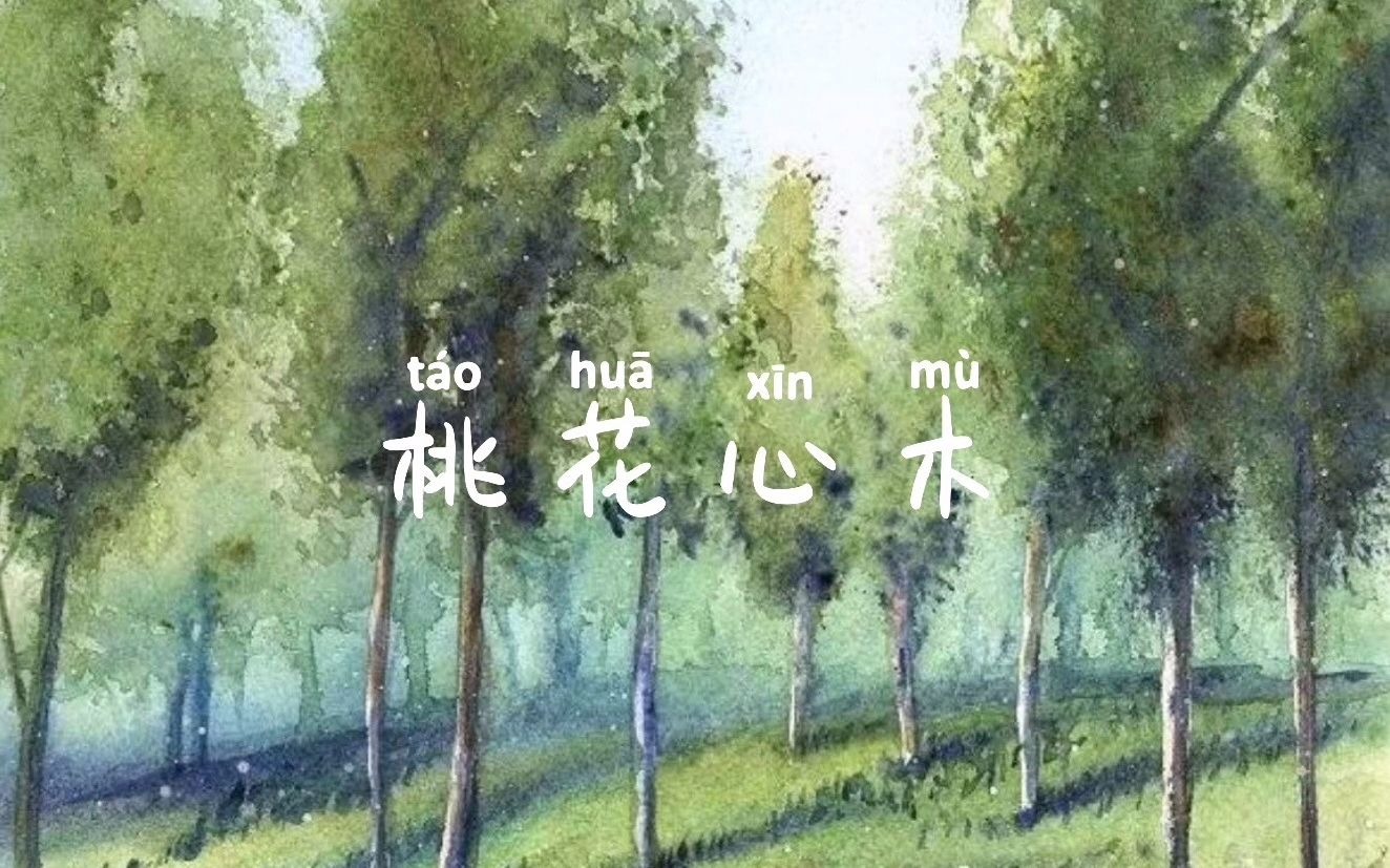 桃花心木哔哩哔哩bilibili