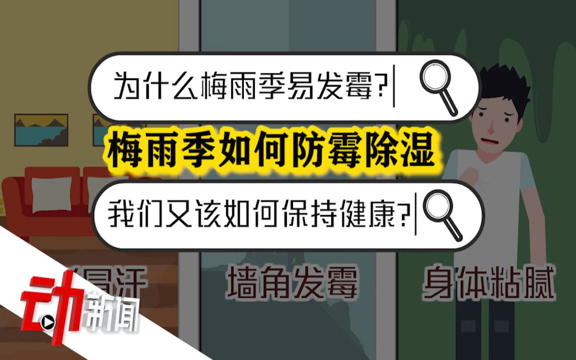 “超长待机”的梅雨季:地板“冒汗”、墙角发霉该咋治?哔哩哔哩bilibili