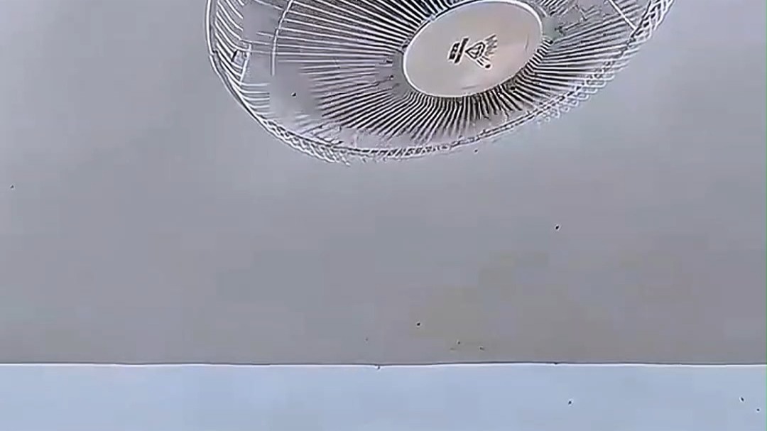 钻石牌diamond吊扇吸顶电风扇249型号楼顶摇头宿舍用天花板风扇