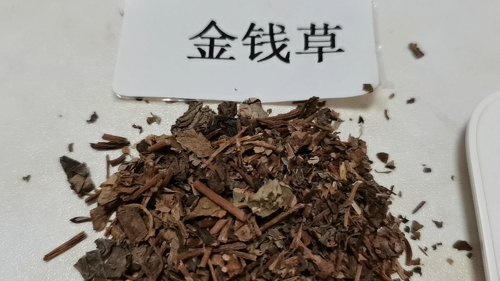 每天了解一味中药 金钱草