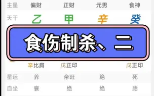 下载视频: 八字教程：食伤制杀、二  寻根基