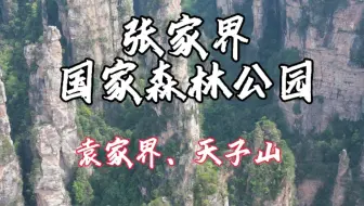 张家界国家森林公园.袁家界与天子山 航拍