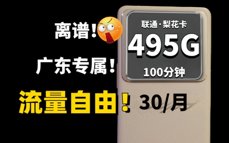 「流量卡」广东上大分!495G超大杯流量+100分钟通话 月租只要30!真的不要太离谱!电信流量卡/联通流量卡/移动流量卡哔哩哔哩bilibili