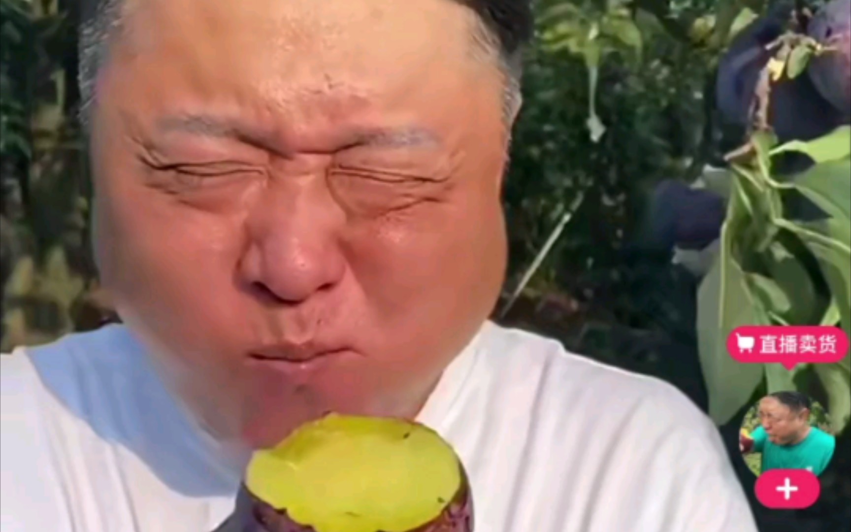 黑布林大李子甜不甜