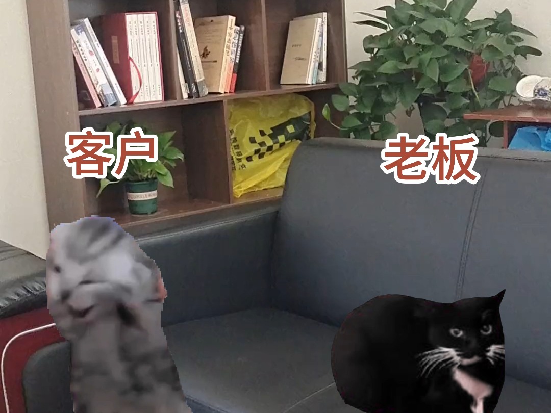 当我用猫meme介绍骁途mini1哔哩哔哩bilibili