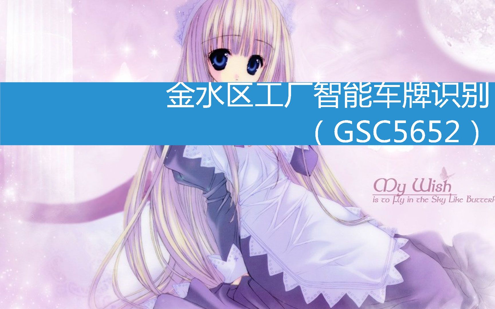 金水区工厂智能车牌识别(GSC5652) (2023年3月10日17时49分5秒已更新)哔哩哔哩bilibili