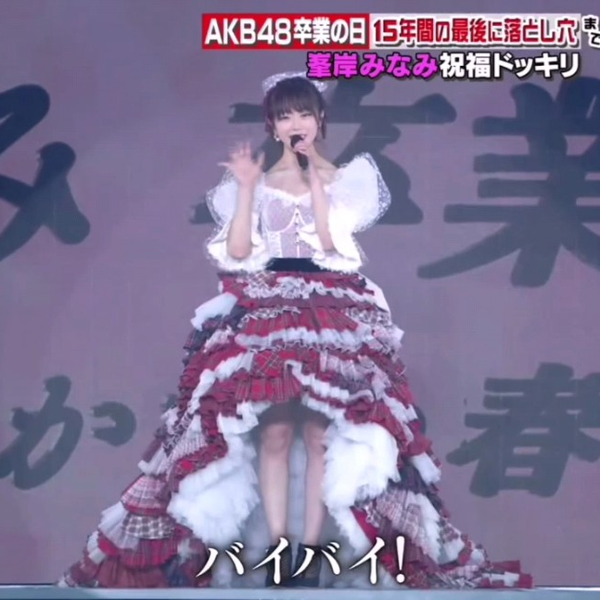 Amazon.co.jp: トキメキ AKB48 峯岸みなみ 下敷き ⑦ : 文房具