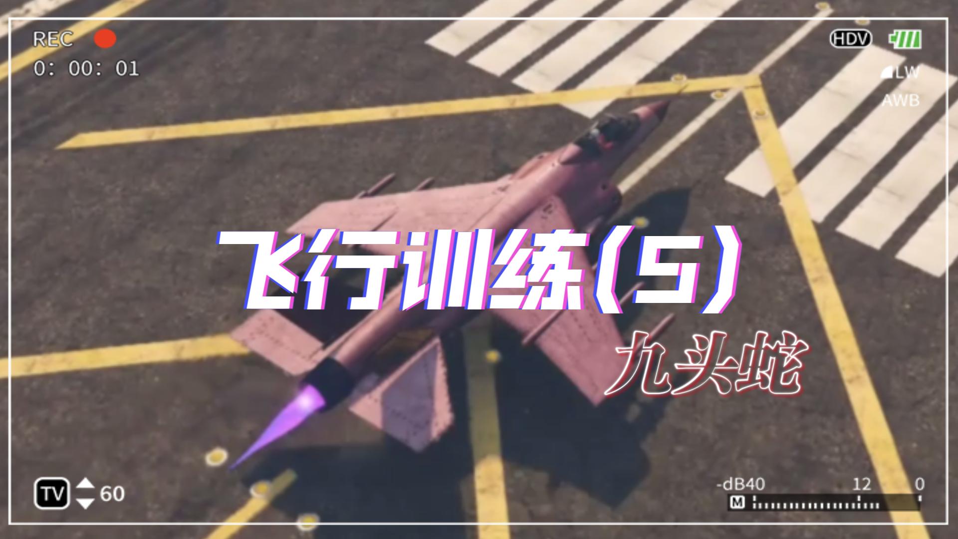 【GTA OL】洛圣都飞行训练(5)巨象九头蛇 战斗机(重制版)