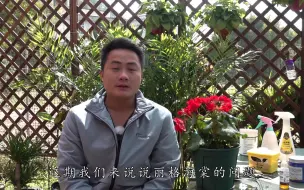 Скачать видео: 对丽格海棠的这个“习性”了解不透彻，难怪怎么都养不好