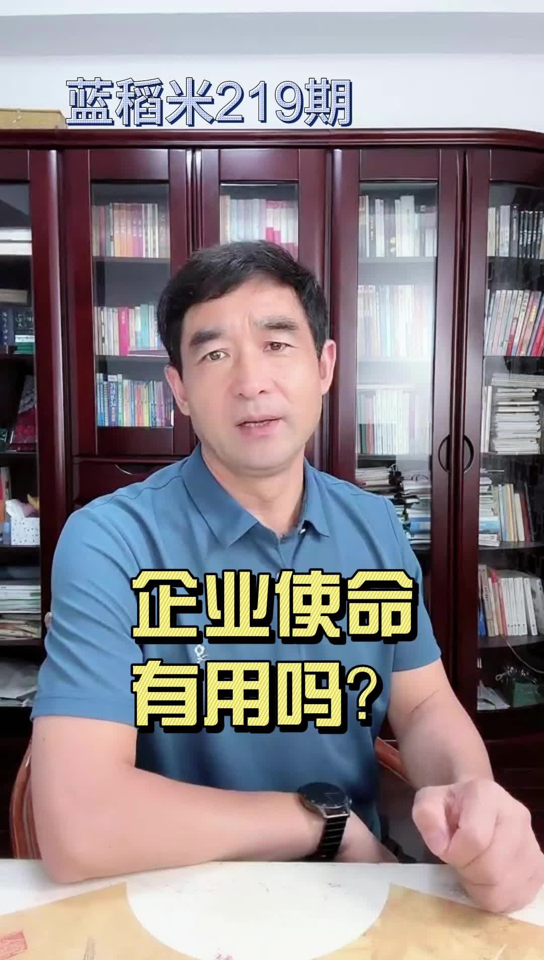 企业使命有用吗?哔哩哔哩bilibili