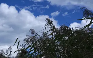 【空镜】自制空镜视频素材天空蓝天白云大气大自然美景动态视频素材空镜头