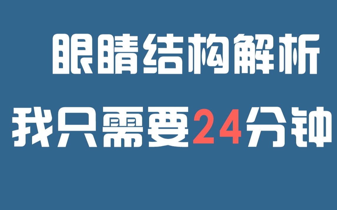 【零基础素描】眼睛的24种画法及结构解析,画画20年的老师教你如何快速画出布灵布灵的眼睛ⷂ𗂷ⷂ𗂷ⷂ𗂷哔哩哔哩bilibili