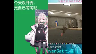 PK胜场 小七猫SC