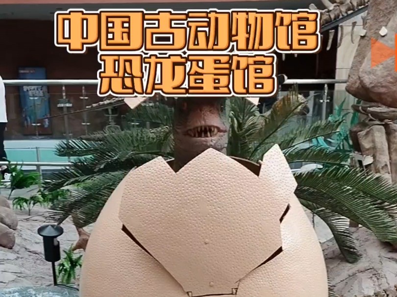 中国古动物恐龙蛋馆