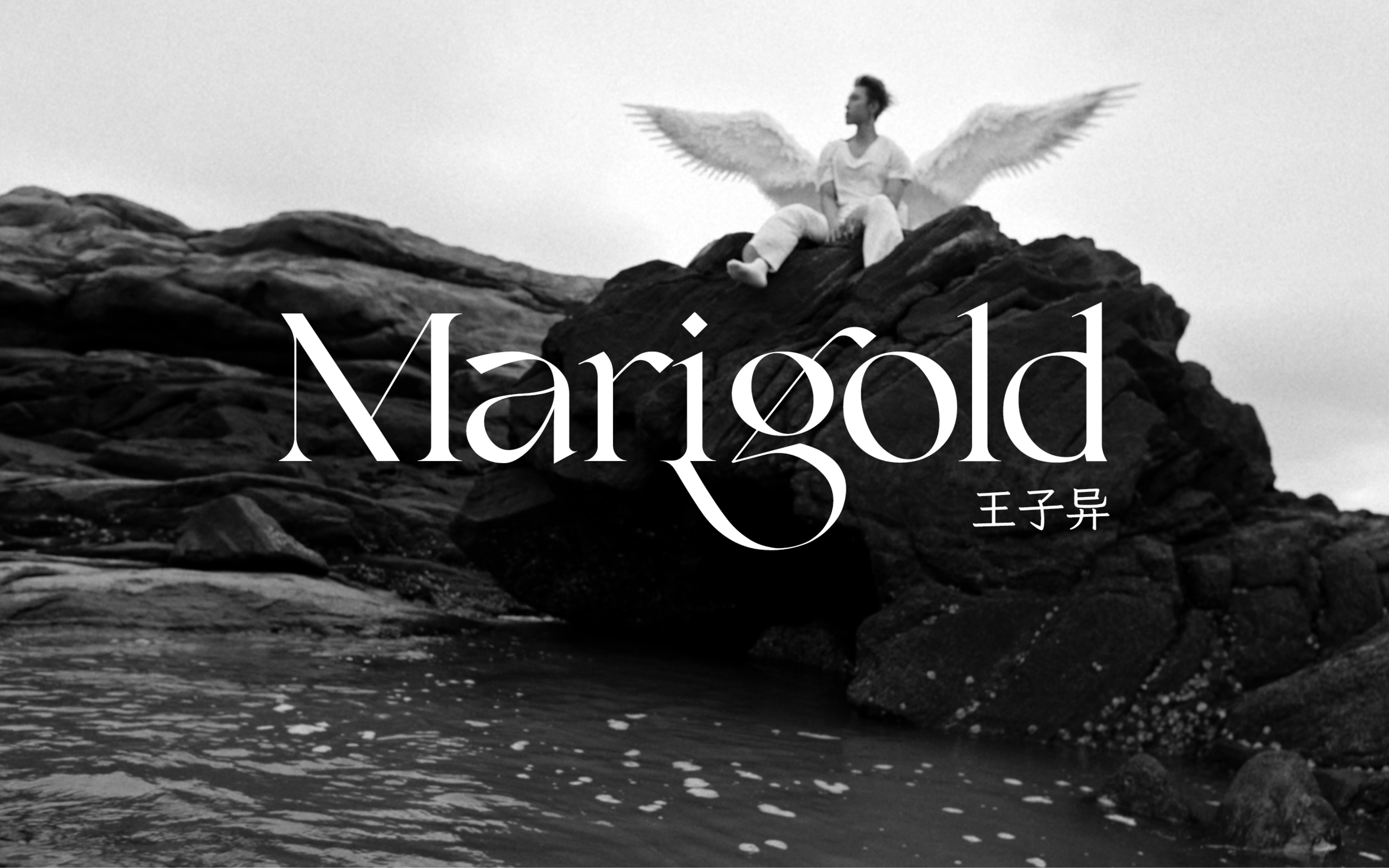 王子异《marigold》概念片上线|【ep1996】