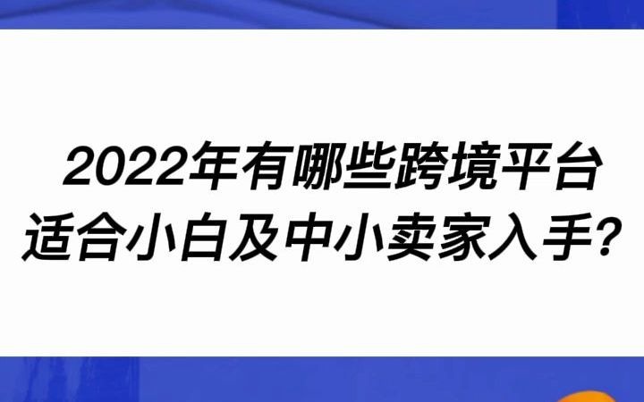 2022年有哪些跨境平台适合小白及中小卖家入手?哔哩哔哩bilibili