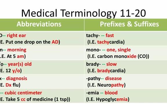 【医学术语学】Medical Terminology 1120 ⷠ油管搬运哔哩哔哩bilibili