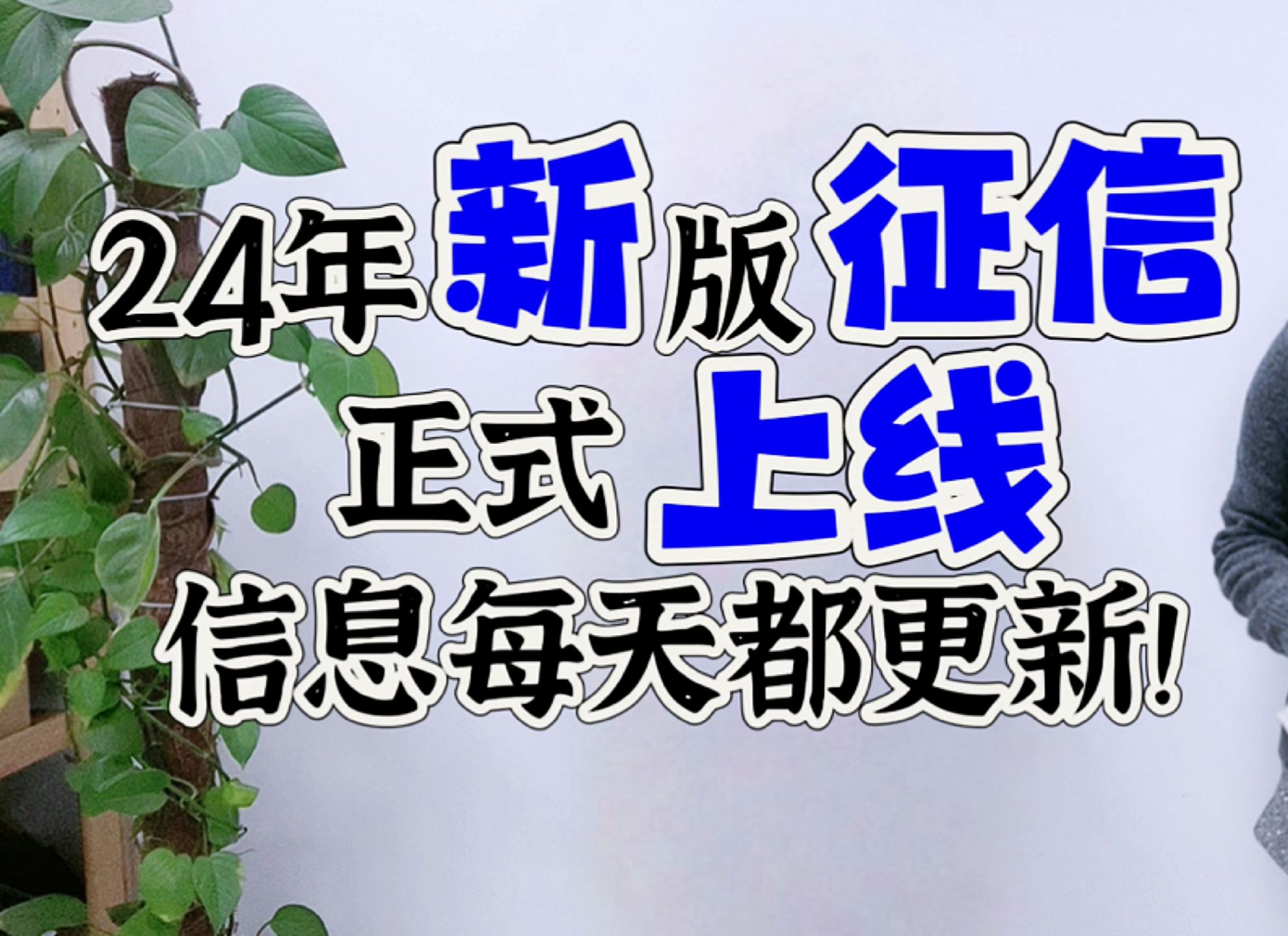 24年新版征信正式上线,以后每天都更新,信息更详细?哔哩哔哩bilibili