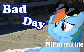 糟糕的一天[MLP in real life]哔哩哔哩bilibili