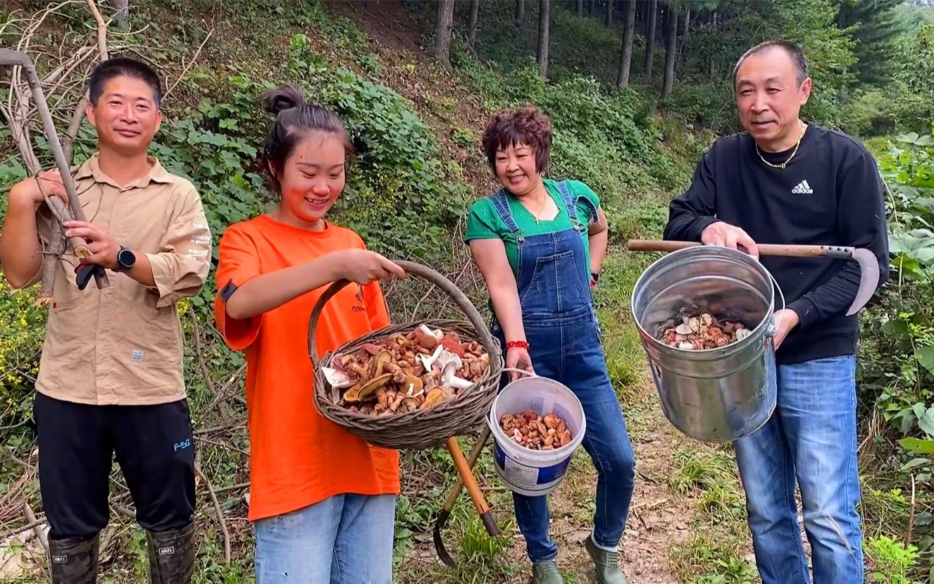 [图]今天这蘑菇捡的太过瘾了，和哥嫂儿媳妇一起上山，收获满满乐开花