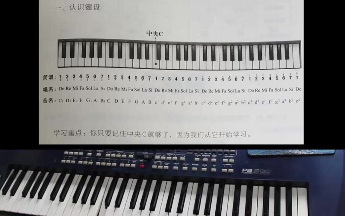 22键电子琴键位图数字图片