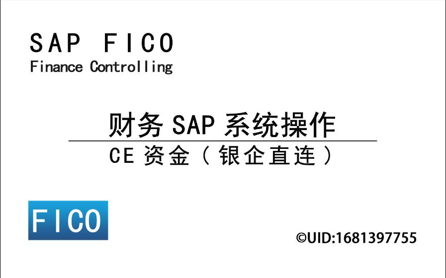 财务SAP系统操作之CE资金(银企直连)哔哩哔哩bilibili