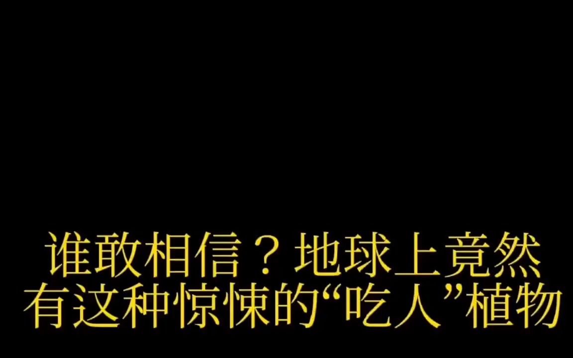 难以置信,地球上竟然有这种惊悚的“吃人”植物哔哩哔哩bilibili