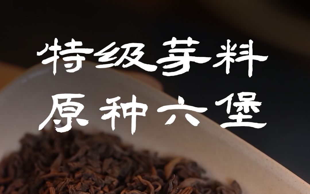 六堡茶进阶的茶友不要错过,特级芽料杏仁香哔哩哔哩bilibili