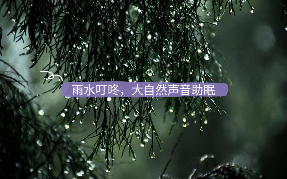雨声助眠雨水叮咚下雨的时候躲避的屋檐下雨水低落的瞬间傍晚窗前叮咚