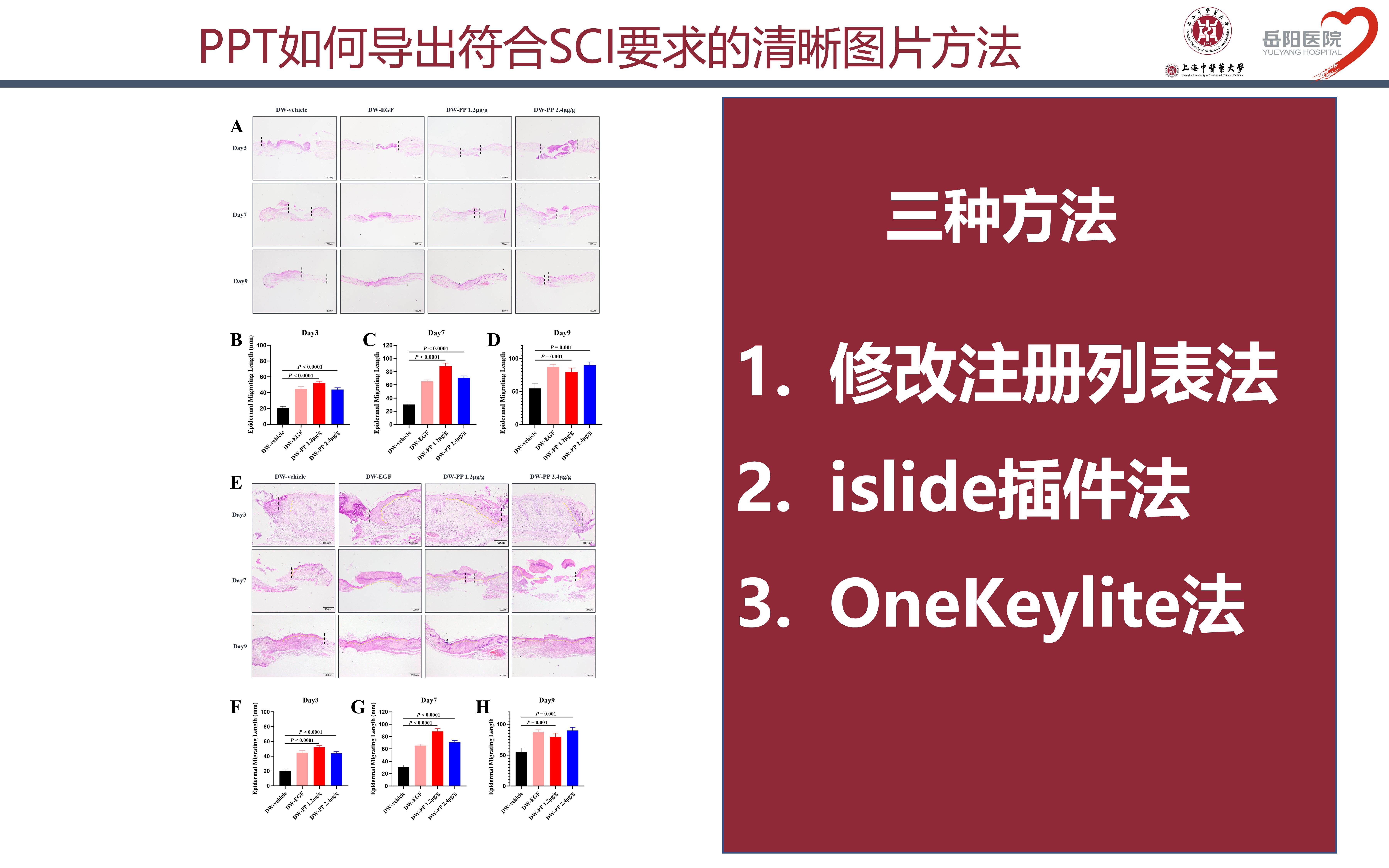 PPT如何导出符合SCI要求的清晰图片(二)哔哩哔哩bilibili