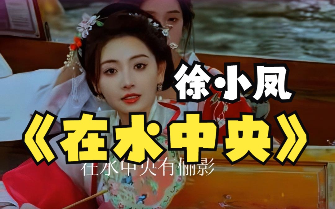 粤语天后徐小凤《在水中央》80年代的经典金曲,黑胶唱片无损音质哔哩哔哩bilibili