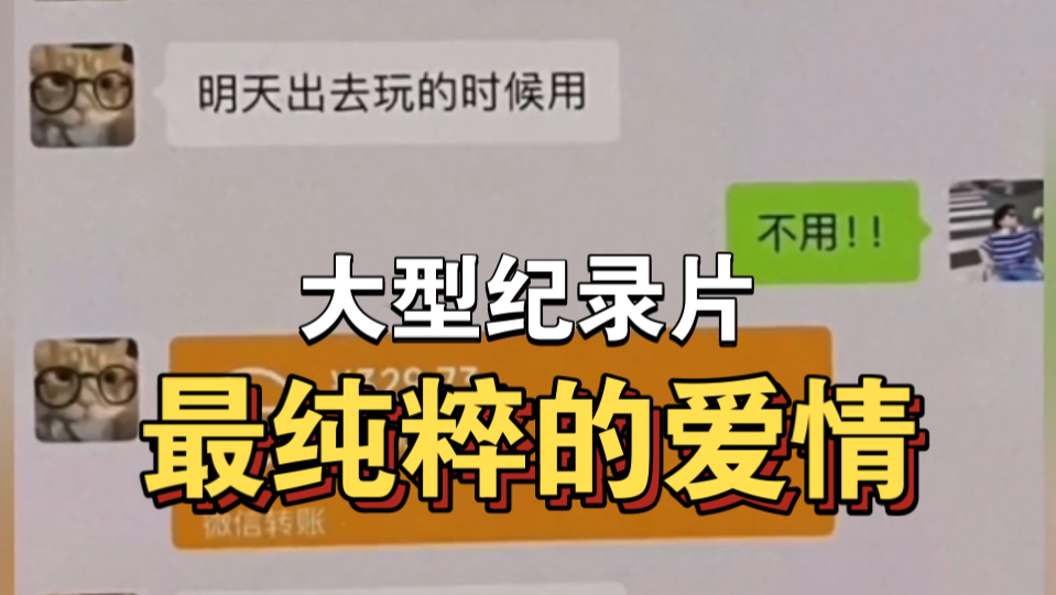 大型纪录片《最纯粹的爱情》持续为您播出!!!!!!!哔哩哔哩bilibili