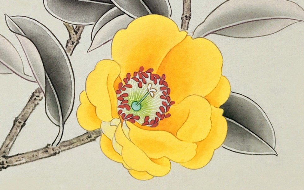 工笔金黄色茶花