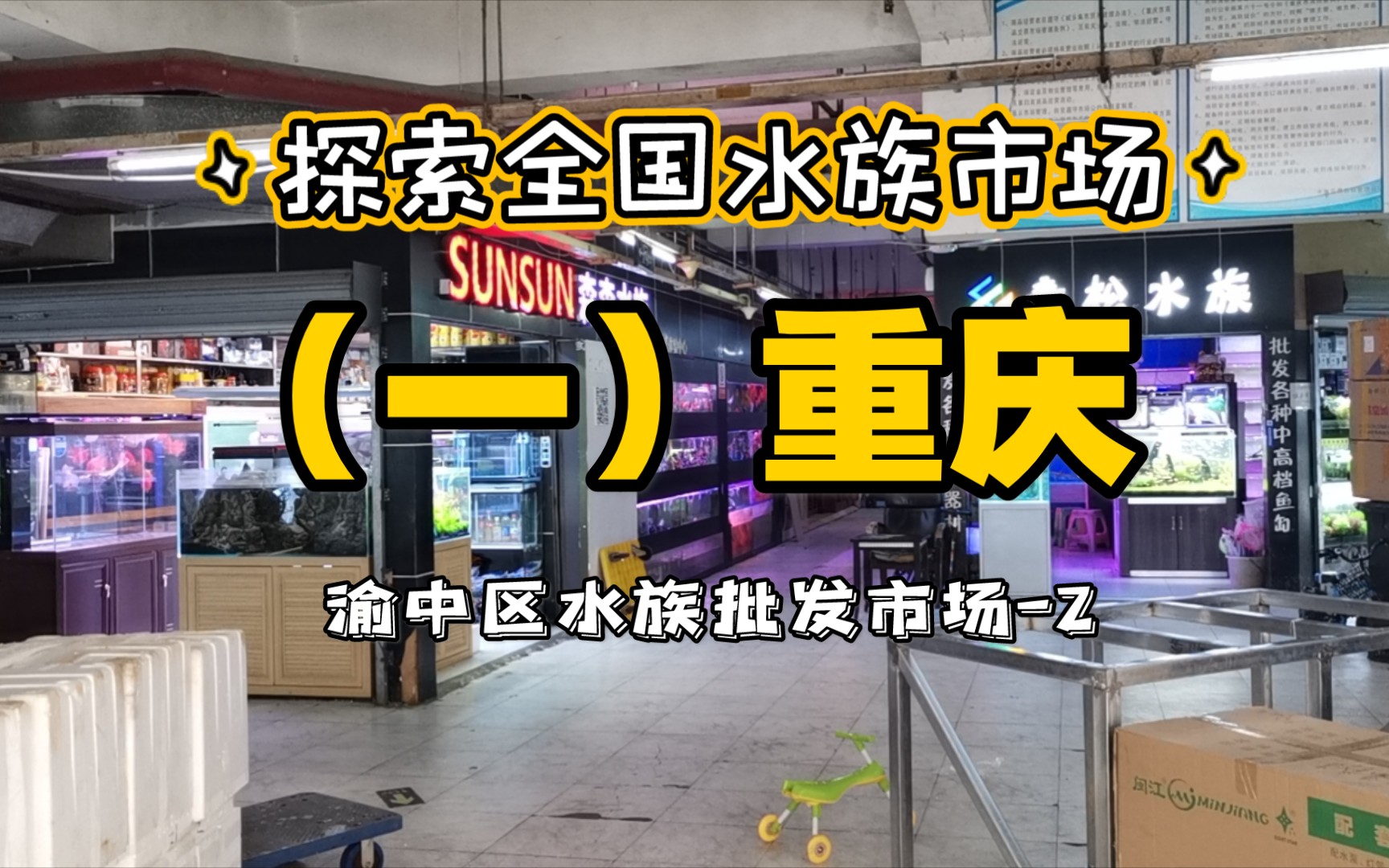 探索全国水族市场 (一)重庆渝中区水族批发市场 (下集)哔哩哔哩bilibili