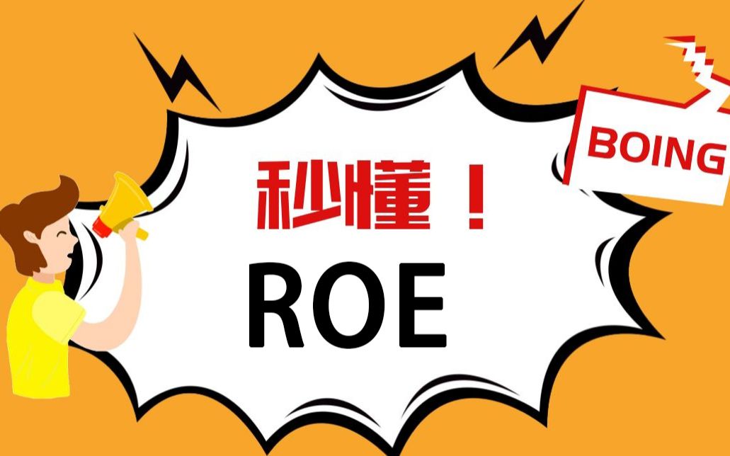 秒懂ROE哔哩哔哩bilibili