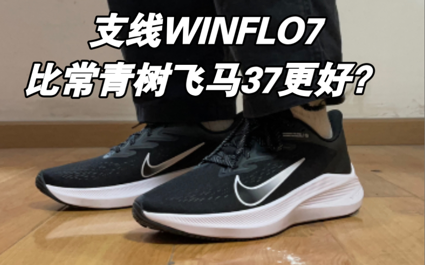 300元档NIKE AIR ZOOM WINFLO7 比 500元的飞马37更值得选择,winflo7对比飞马37详细开箱评测.哔哩哔哩bilibili