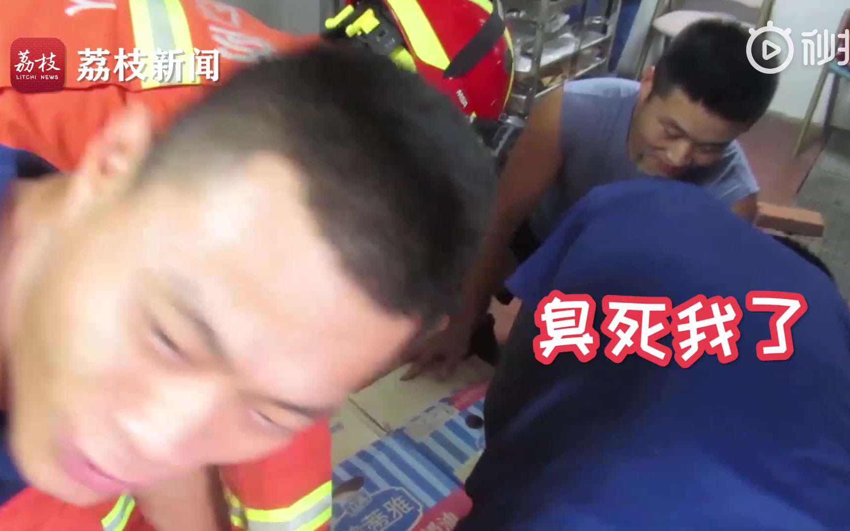 黄鼠狼闯入蛋糕店,被捉后放臭屁!哔哩哔哩bilibili