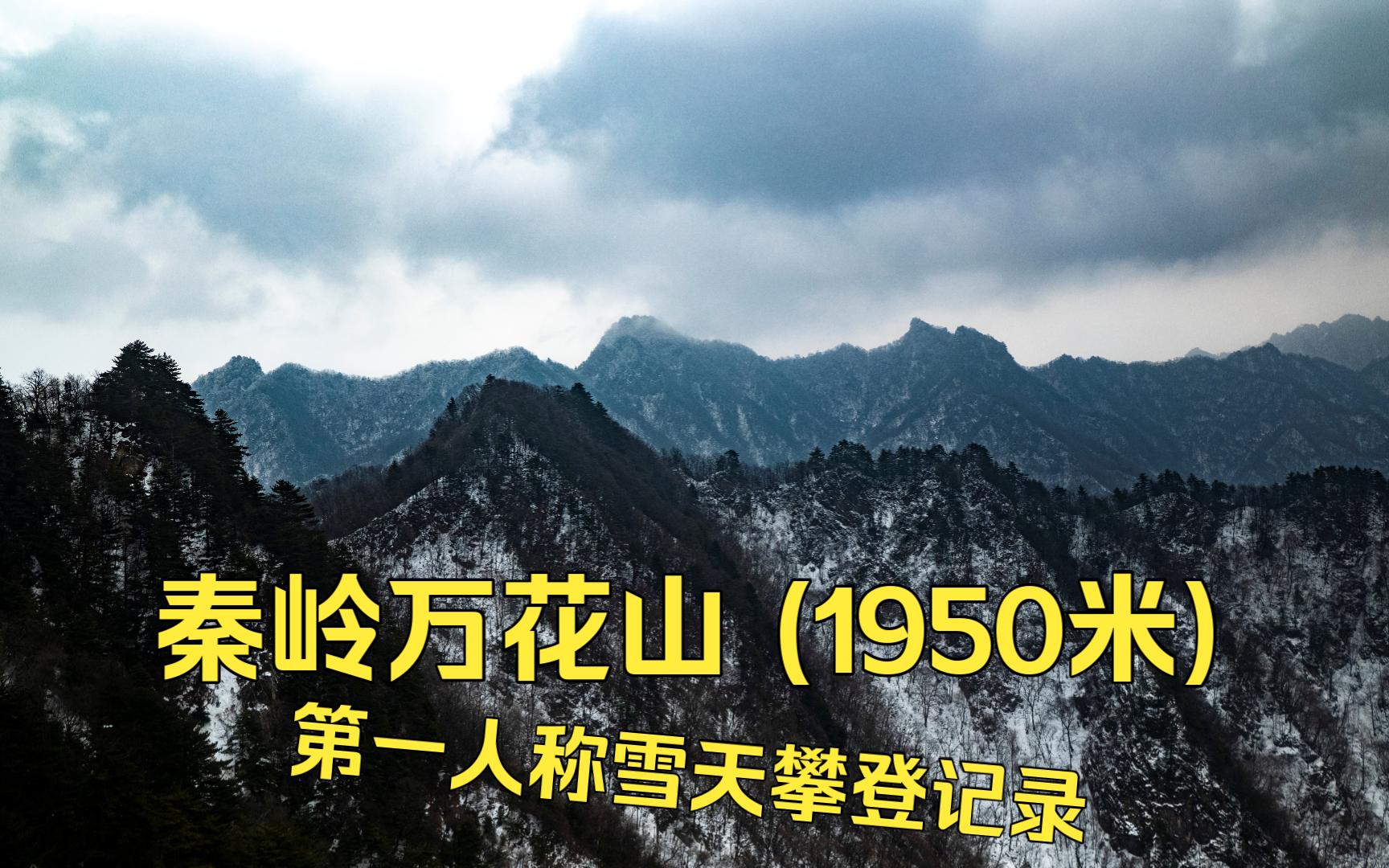 【边爬边拍10】踏雪攀登秦岭万花山(1950米)带字幕标注哔哩哔哩bilibili