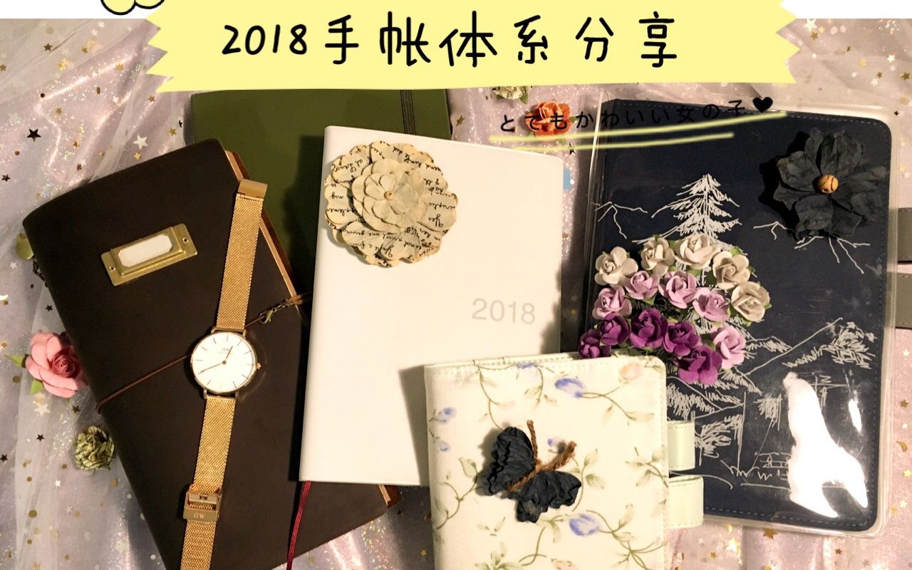 【抓住2017的小尾巴】2018手账体系分享|各类手账本优缺点|哪本手账最适合你哔哩哔哩bilibili