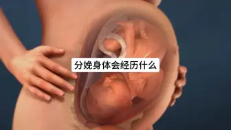 关于分娩的真相，或许远比你想象的更沉重。