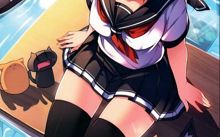 【专制女神】邪恶男女动漫篇《男人的择偶观》