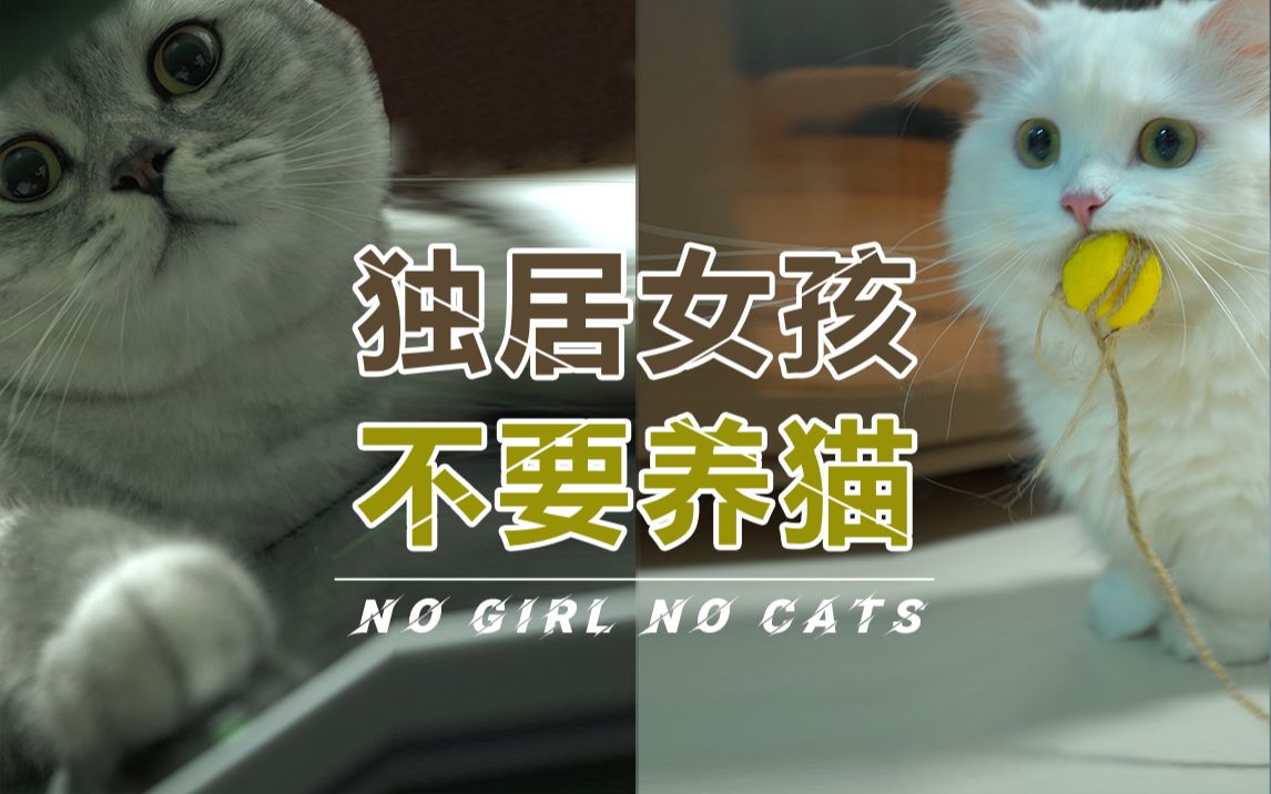 [图]独居女孩最好不要养猫，因为他们可能会报复你