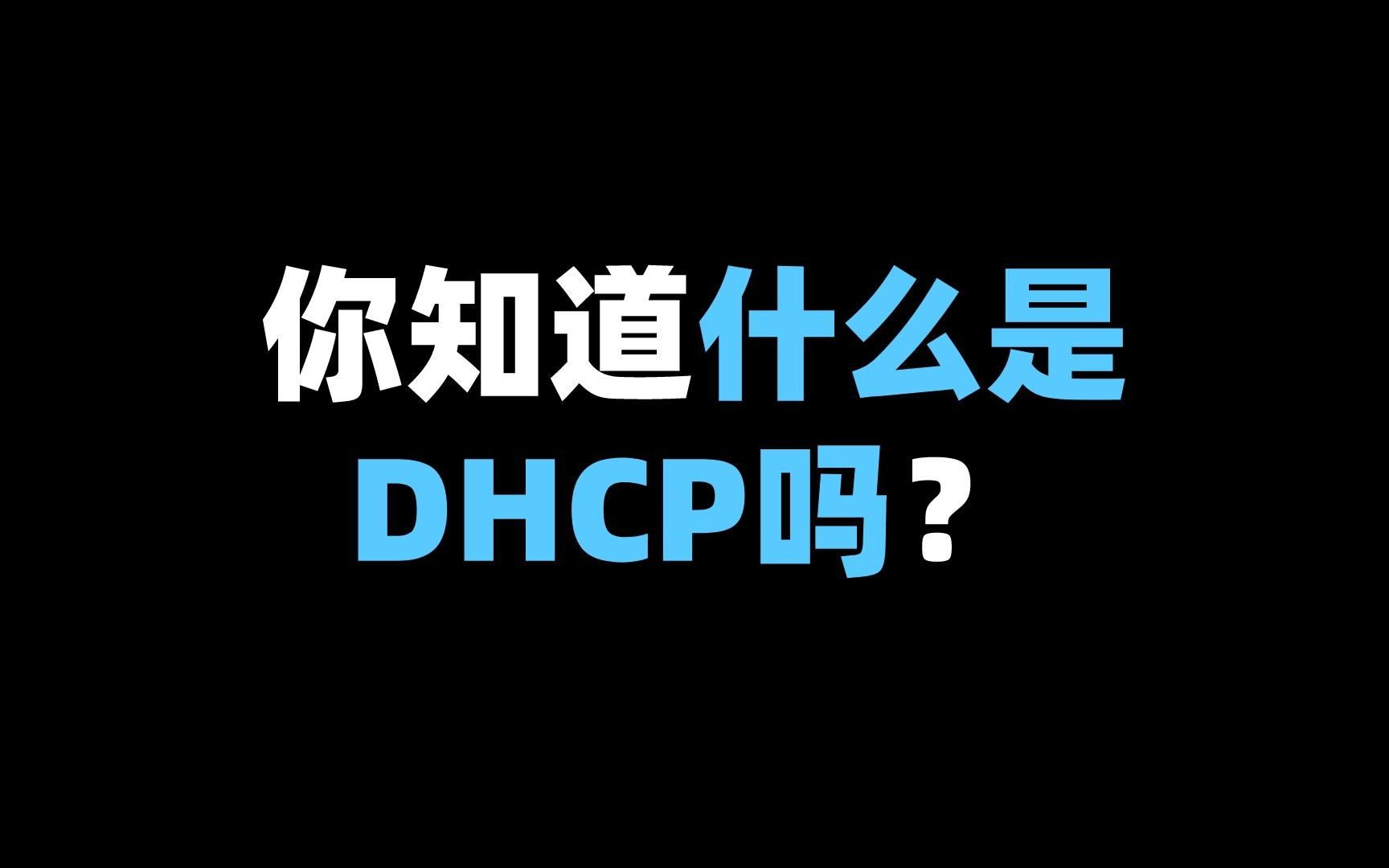 你知道什么是DHCP吗?哔哩哔哩bilibili