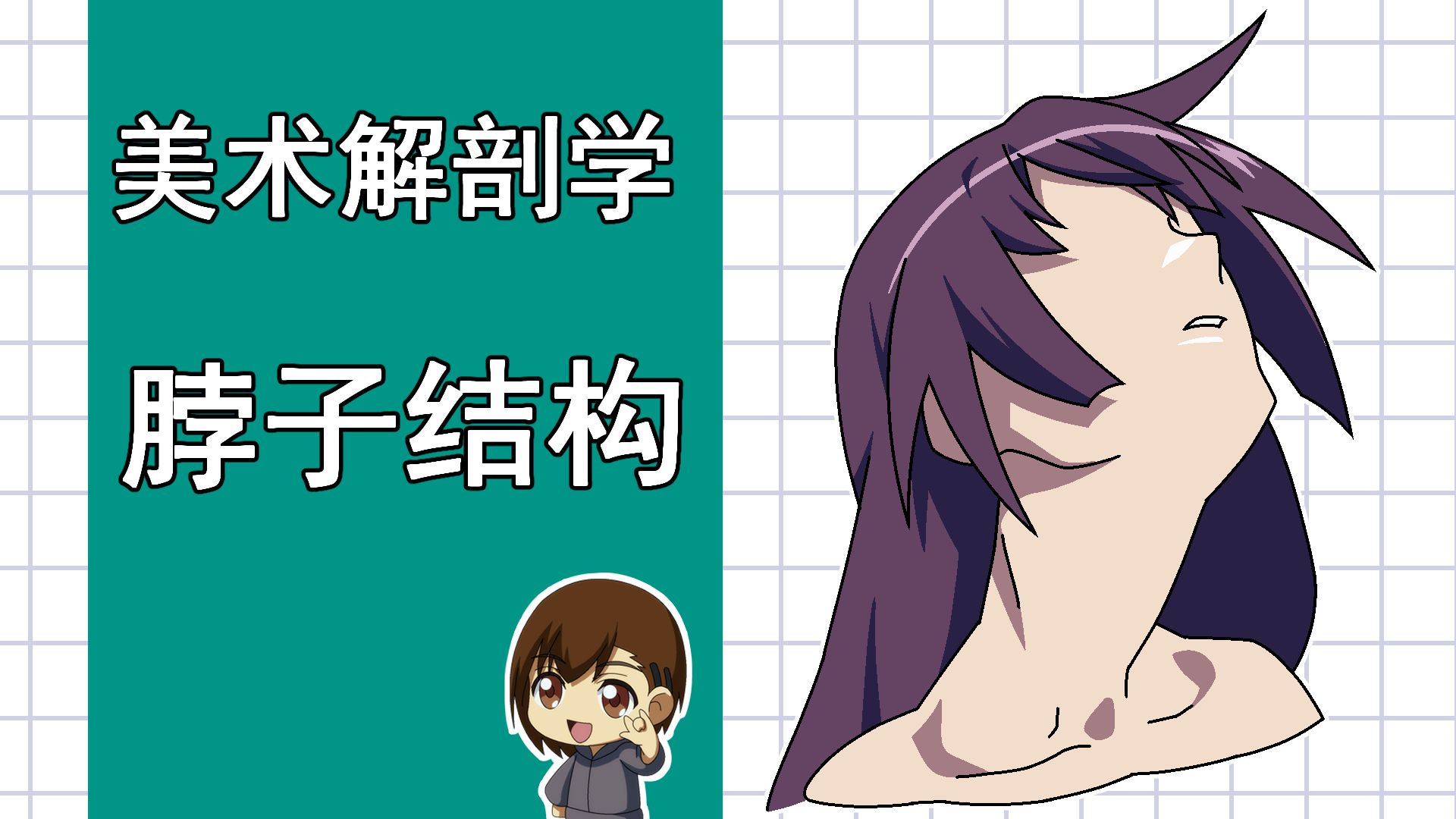 美术解剖学-42-脖子的结构