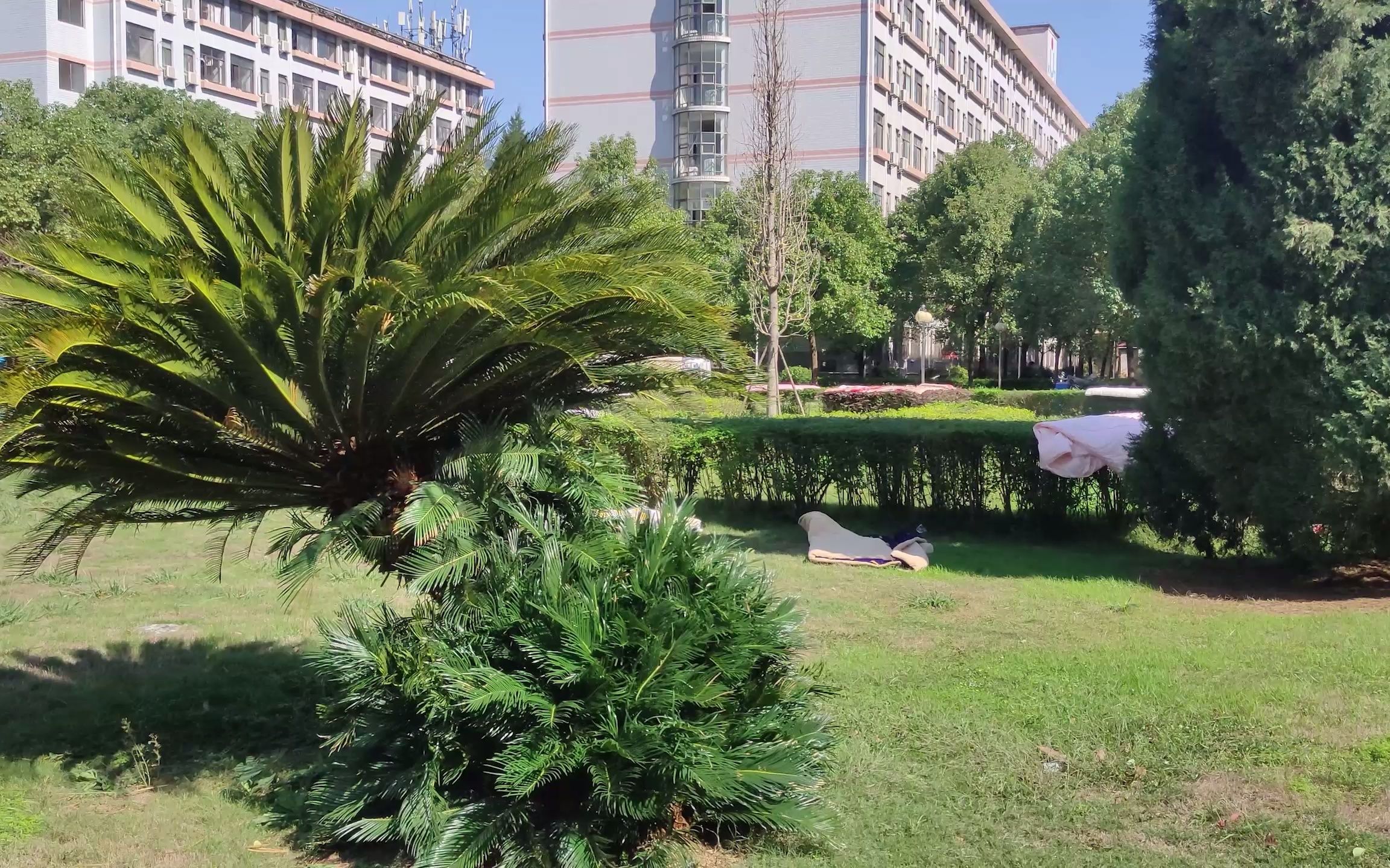 湘潭大学招生减章之金翰林学生公寓_哔哩哔哩_bilibili