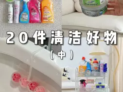 Download Video: 清洁好物｜家里变干净的秘密竟然是……？