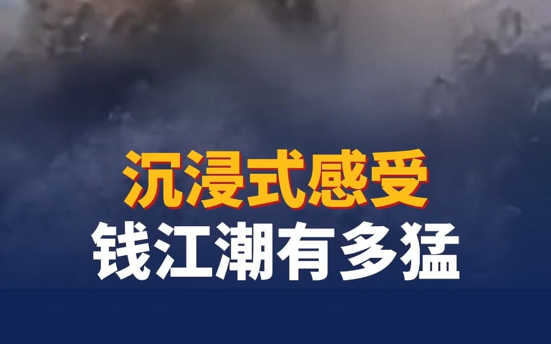 [图]沉浸式感受钱江潮有多猛 网友：伞打了又仿佛没打