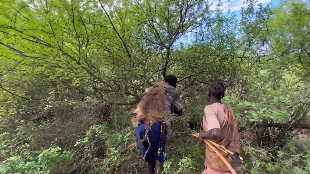 非洲最原始部落捕猎的精彩瞬间!