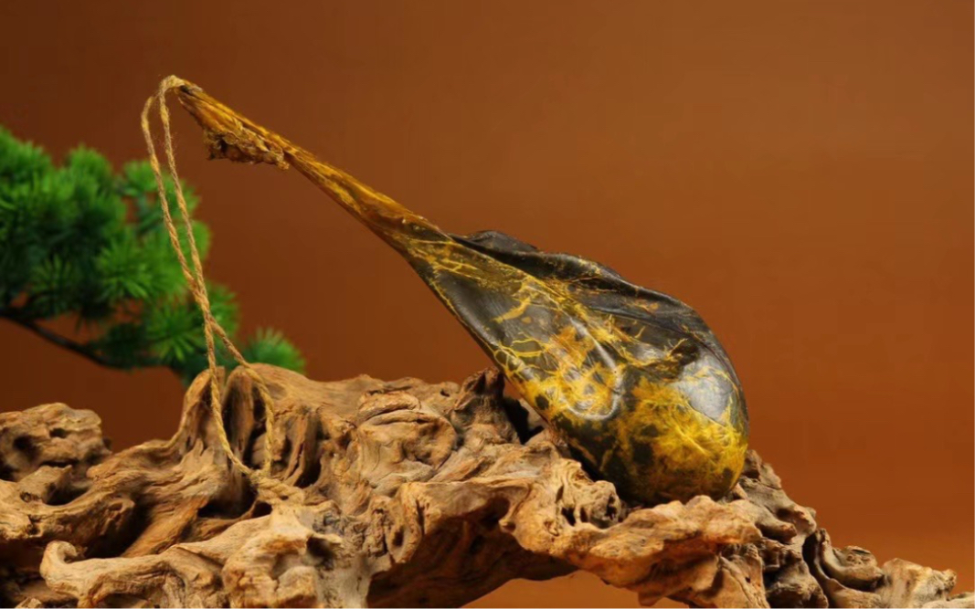 四大名贵中药(熊胆,虎骨,麝香,牛黄)之首,素有"药中黄金"之誉.