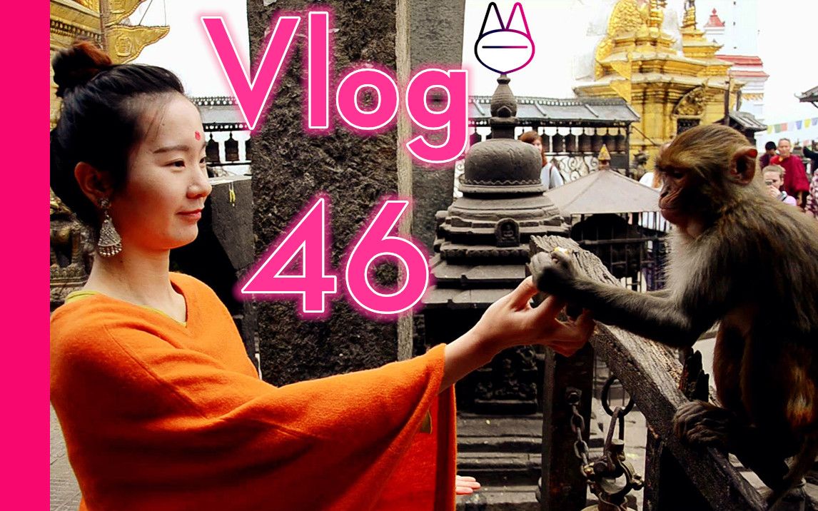 [图]Vlog 46 帕坦的纱丽怎么穿？猴庙的猴子怎么玩？| 马马Mona | 加德满都 | 尼泊尔